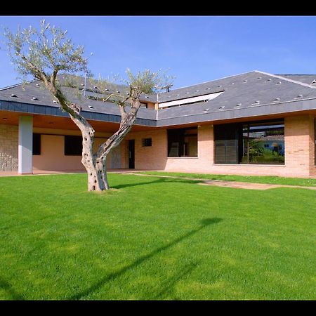 ז'ירונה Casa De Vacaciones Con Padel En Montseny By Can Forcadell מראה חיצוני תמונה